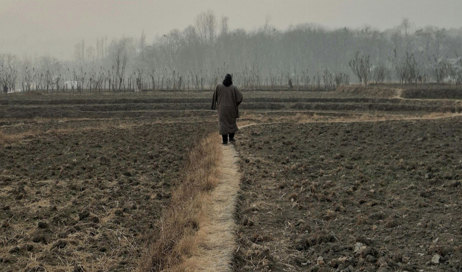 Whispers of the Road Beneath a Lone Sky